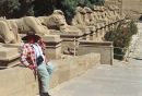 Avenue of Ram Headed Sphinxes, Karnac Temple, Luxor